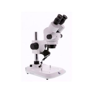 Microscopios estereoscópicos binoculares