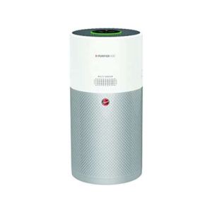 Purificateur ioniseur d'air