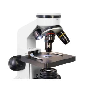Microscopes with Screens or Digital Capabilities  