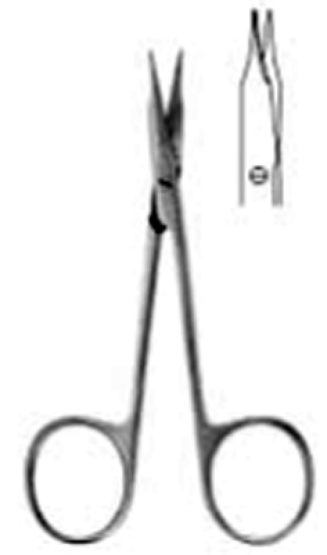 Tenotomy STEVENS model blunt/blunt - Main Image