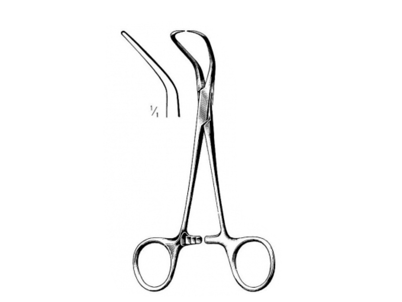 Liinapihdit, Backhaus