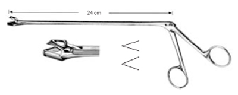 Pinza para biopsia. Modelo SCHUMACHER.