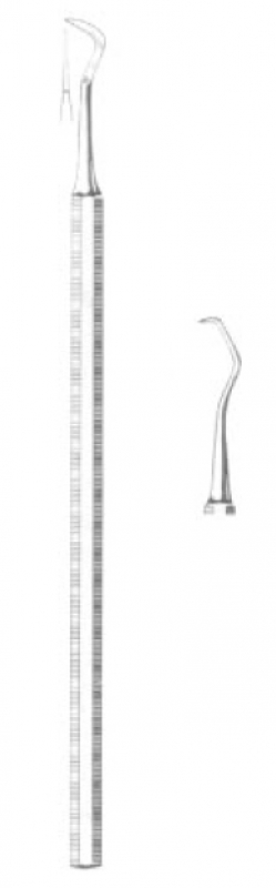 Enkel tandstensrengörare JACQUETTE