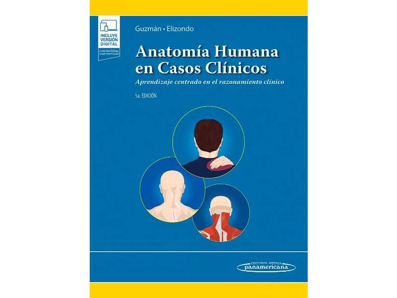 Anatomia Humana En Casos Clinicos Respuestas