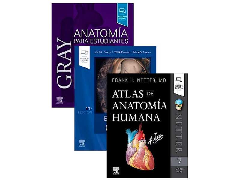 Lote GRAY Anatomía para Estudiantes + Embriología Clínica + NETTER
