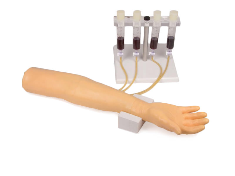 Brazo de entrenamiento para la inyección por vía intravenosa y perfusión.