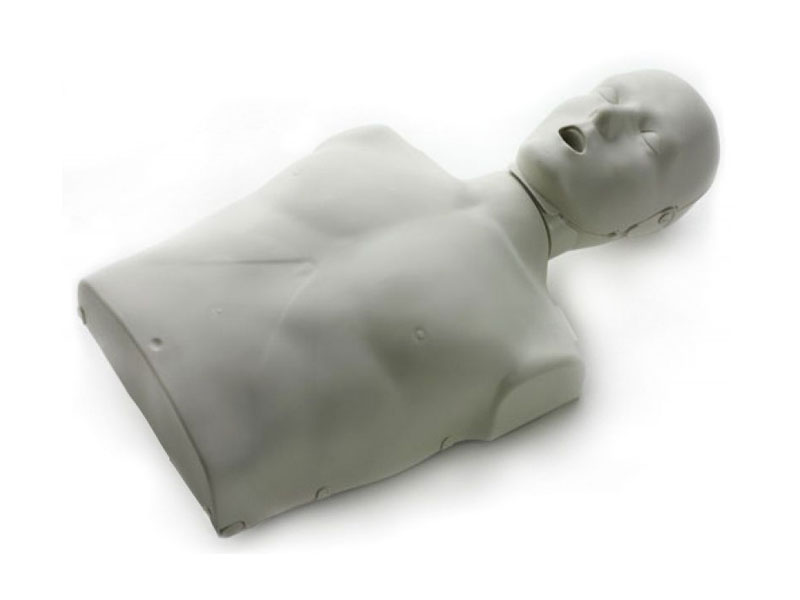 Torso para RCP con controles luminosos