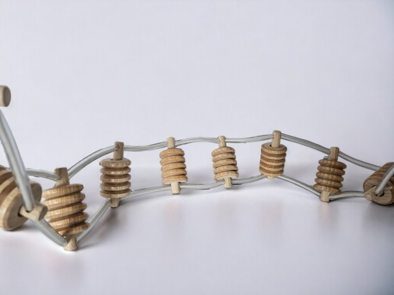 Petite Ceinture - Frêne bois de haute qualité