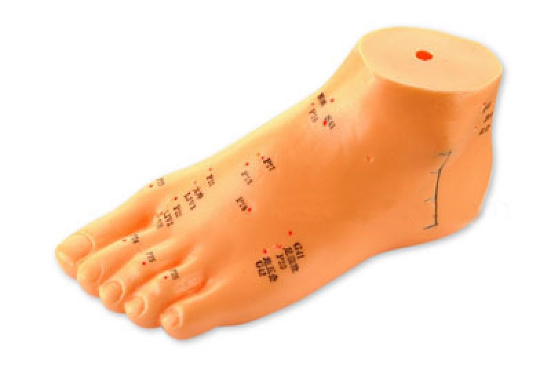 Accupuntuur oefenmodel voet