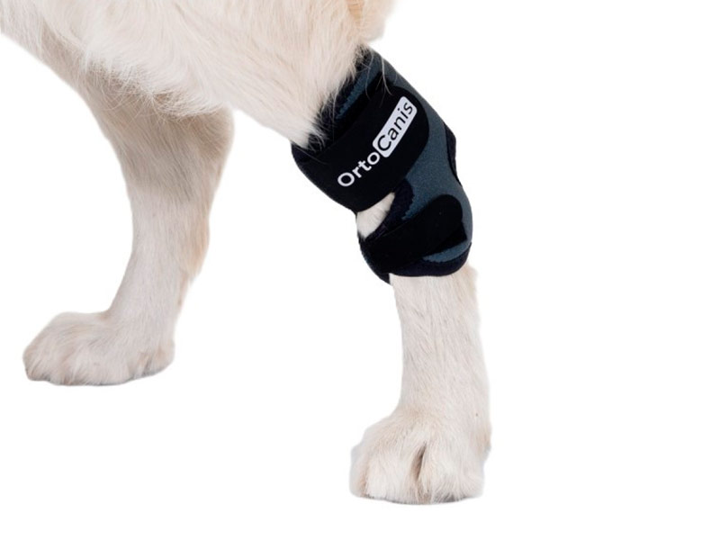 Suportes Tarsais Ortocanis para Cães