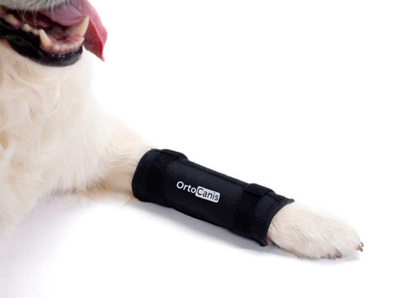 Suporte Carpal Ortocanis para Cães