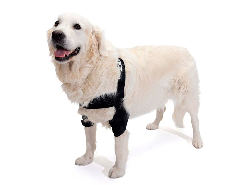 Ortótese de Cotovelo Ortocanis para Cães