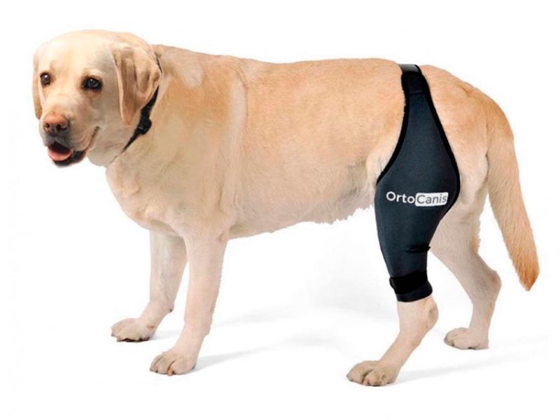 Ortocanis Protetor de Joelho Esquerdo para Cães