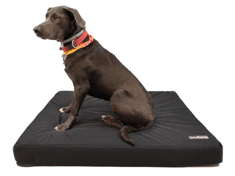 Colchão Ortocanis para Cães