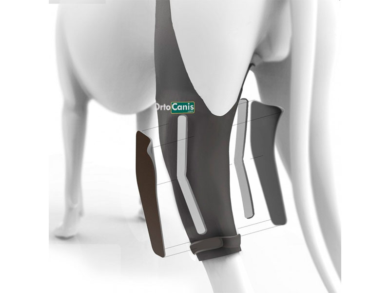Imobilizador de Joelho Direito Ortocanis para Cães