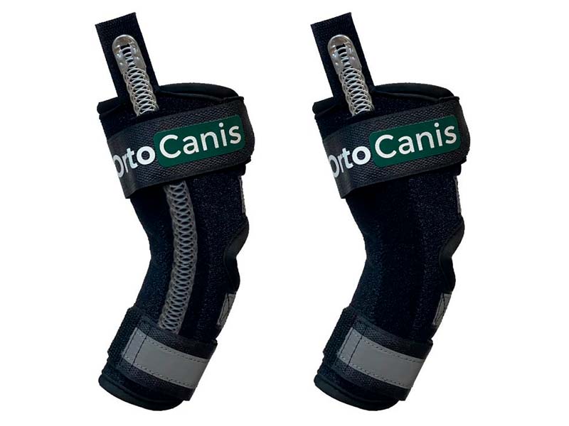 Suportes Tarsais Ortocanis com Talas Flexíveis e Rígidas para Cães