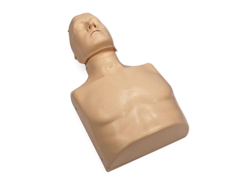 Simulateur RCP PRACTI-MAN adulte et enfant