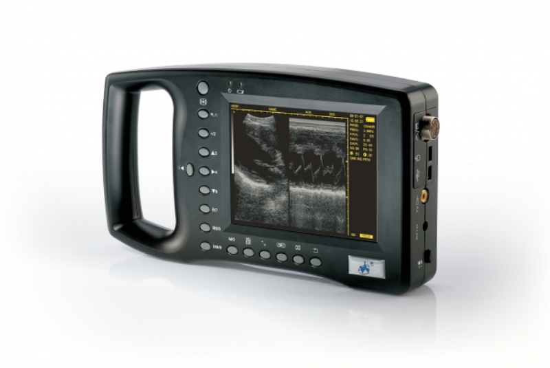 Ecografo digitale portatile ad uso veterinario