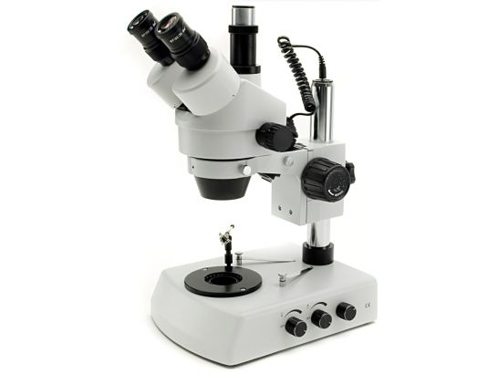 35pcs Lames De Microscope En Verre Échantillons Spécimens De