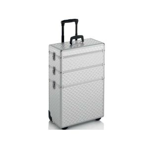 Trolley Estetista e Parrucchiere Professionale Pratico e Leggero Silver