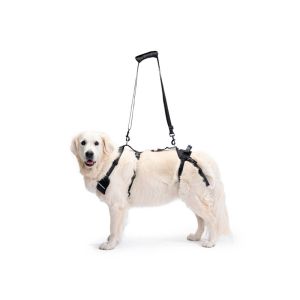 Peitoral de Corpo Inteiro Ortocanis para Cães