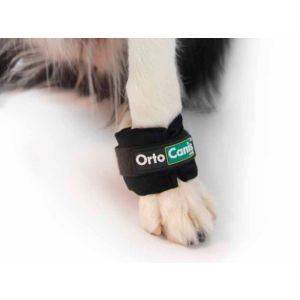 Pesos Ortocanis para Fortalecimento Muscular em Cães