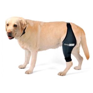 Ortocanis Protetor de Joelho Direito para Cães