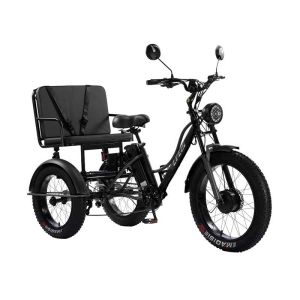 BICA Tricycle électrique 3 roues fatbike cross 2 places pour personne à mobilité réduite 750 watts