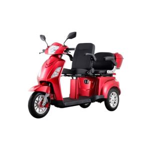 COCO - Scooter électrique 3 roues 2 places 1000 Watts pour PMR et séniors