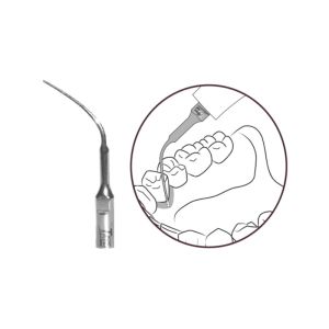 Pointe Inserto Perio ultra-souple compatible EMS PS Woodpecker P3 pour parodontie