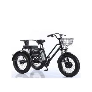 Tricycle fatbike cross 2 places pour personne à mobilité réduite 500 watts