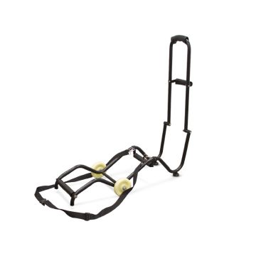 Φορείο φορείο